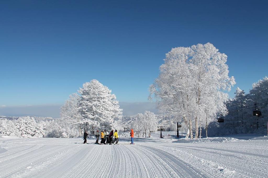 Nozawaonsen Guest House Miyazawa Екстериор снимка